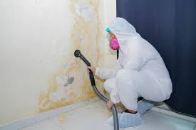 Best Water Damage & Mold Remediation  in Macdonnell Heights, NY